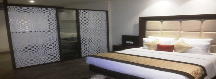 1794/Hotel Amber Residency - Hoshiarpur 11.jpg